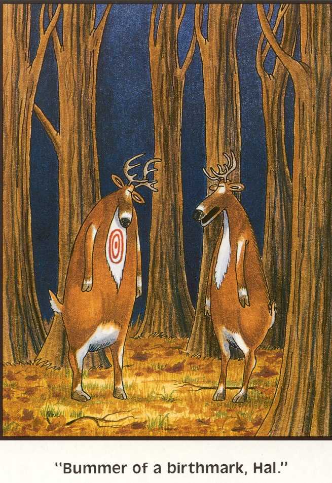 Deer Hunter Cartoon